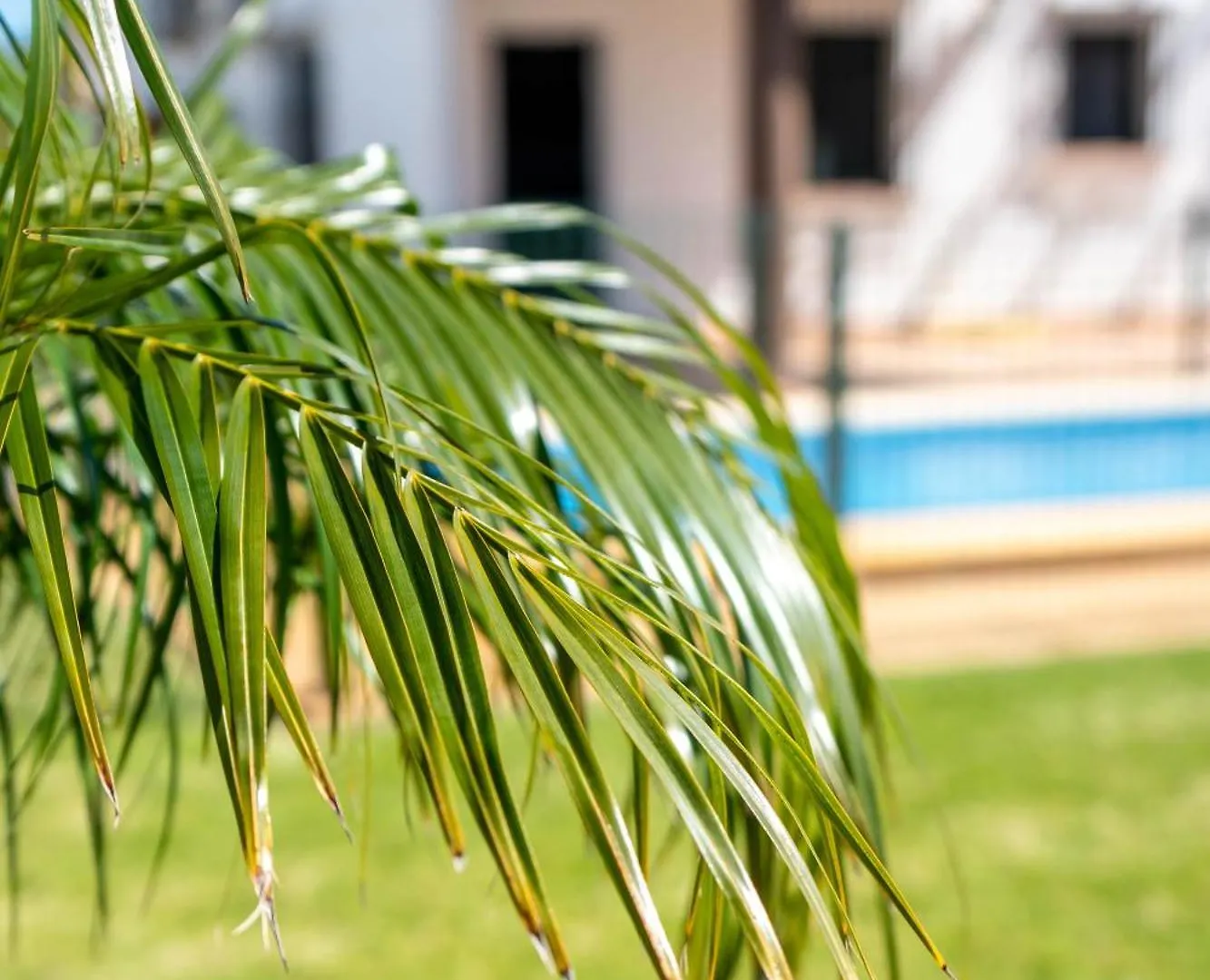 Casas Rurales Pericon Conil De La Frontera